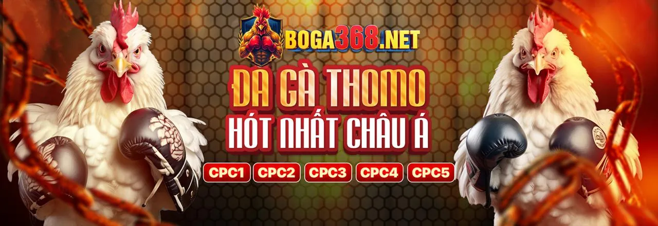 Máy đánh bạc tại mibet login với giao diện sống động và cơ hội thắng lớn